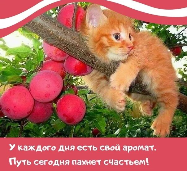 С утра было 25