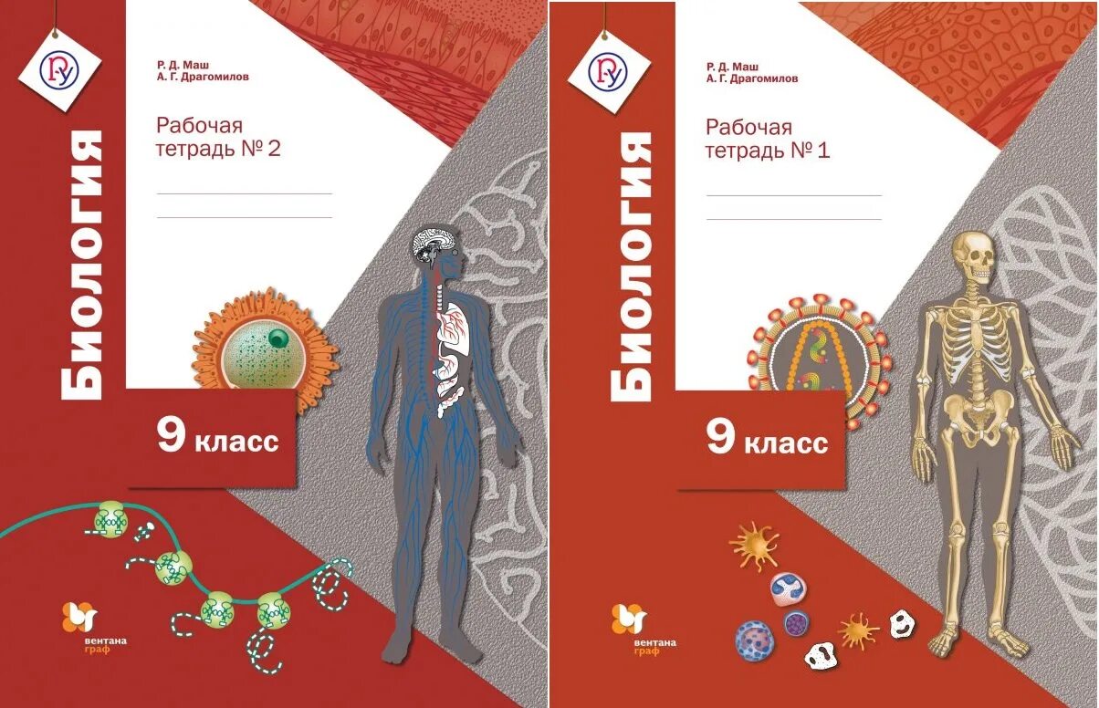 Графы тн вэд. Биология. 9 Класс. Рабочая тетрадь. Часть 2 р.д. маш, а.г. драгомилов. Рабочая тетрадь биология 9 класс драгомилов. Драгомилов а. г., маш р.д. 9 класс.