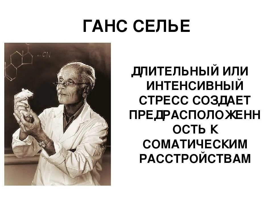 Стресс без стресса селье. Физиолог Ганс Селье. Ученый Ганс Селье. Канадский физиолог Ганс Селье. Ганс Селье стресс.