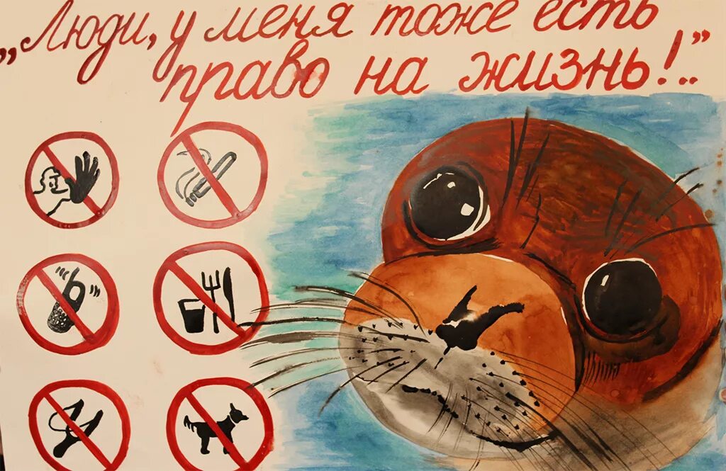 Берегите животных картинки Плакат береги животных 3