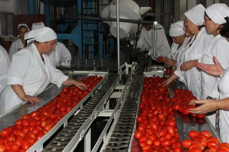 Работа на консервном заводе