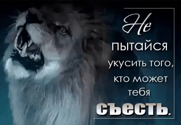 Не пытайся не сможешь
