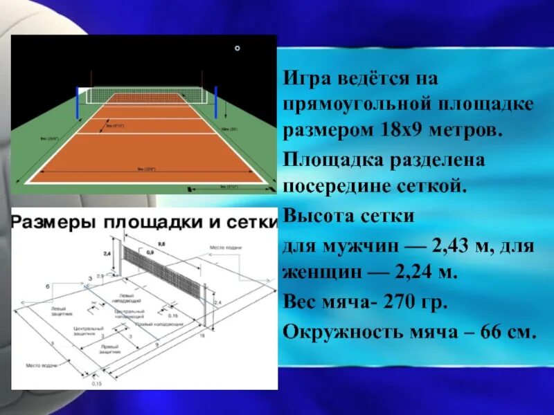 Волейбольная площадка 9 метров. Волейбольная площадка 18 на 9. Высота волейбольной сетки для мужчин. Высота сетки в волейболе. Волейбол высота сетки для мужчин и женщин