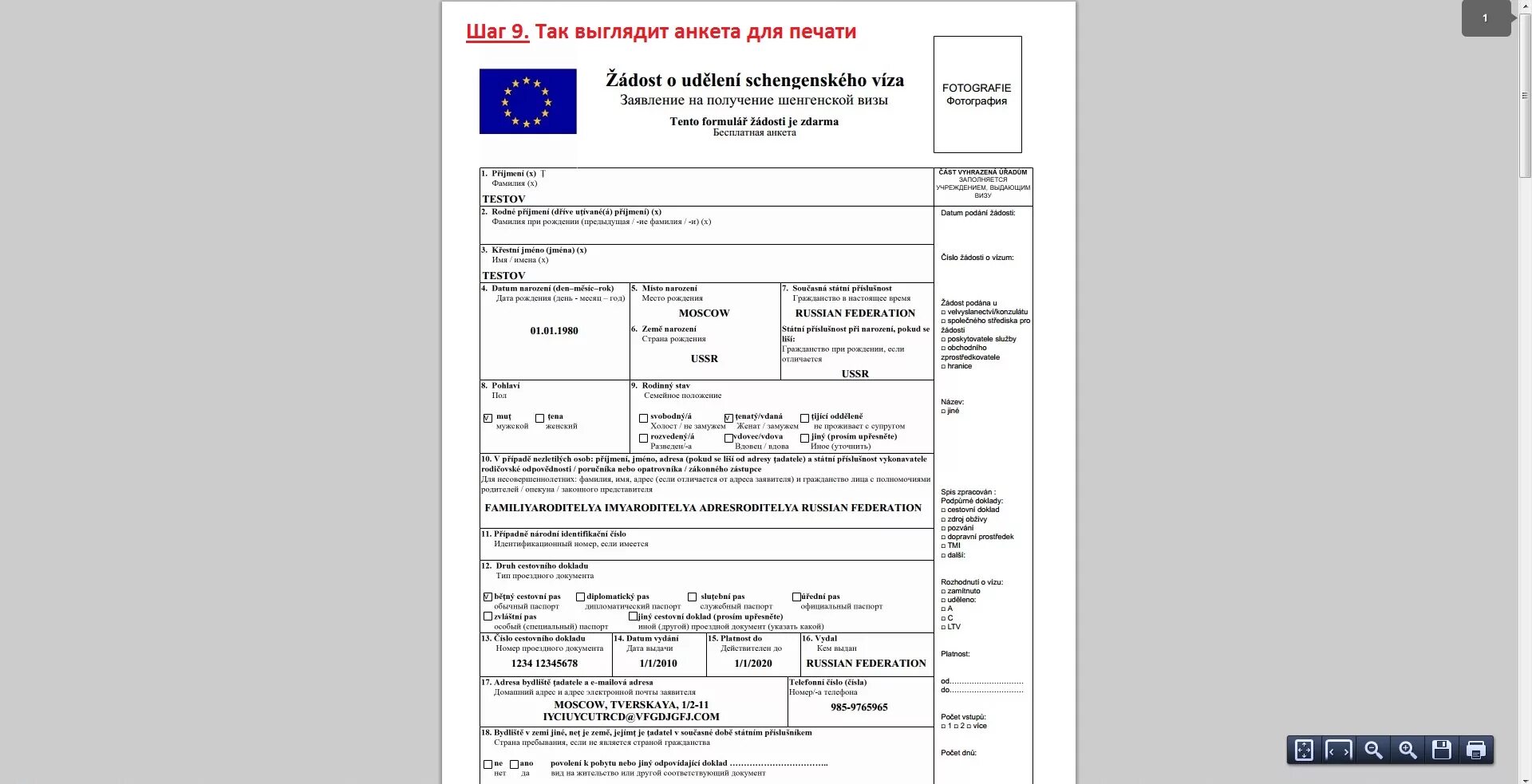 Анкета на шенгенскую визу образец 2020. Пример анкеты на шенгенскую визу. Пример заполнения шенгенской визы. Образец заполненной анкеты на шенгенскую визу. Заявление на визу образец