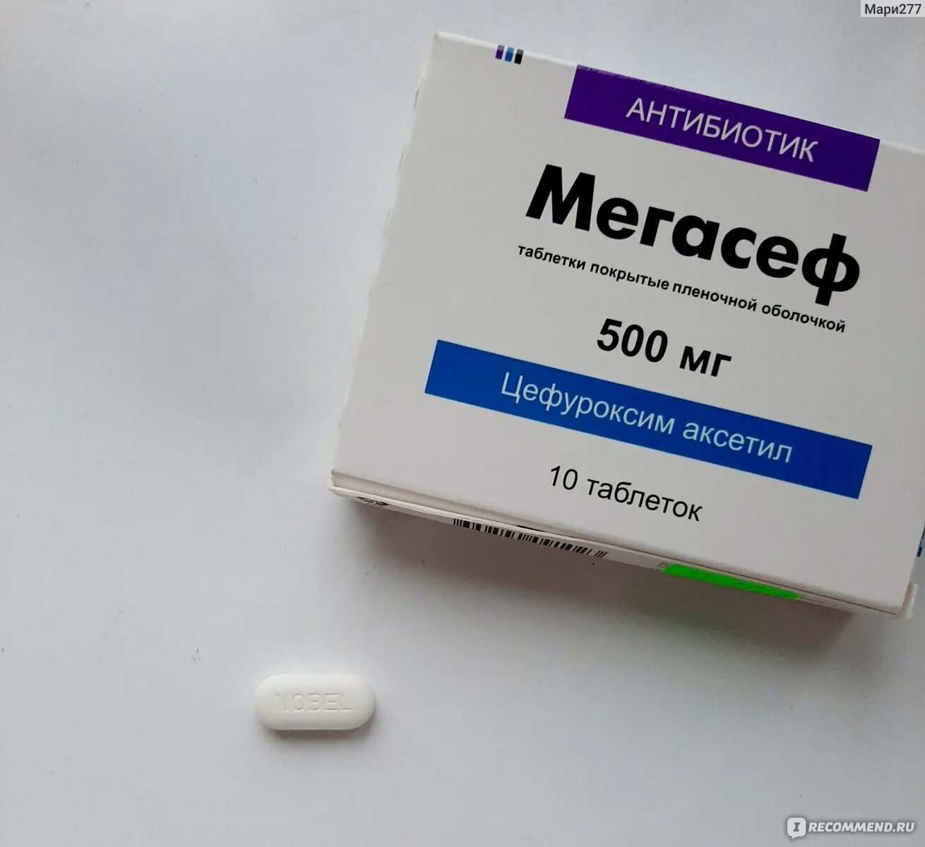 Мегасеф. Мегасеф