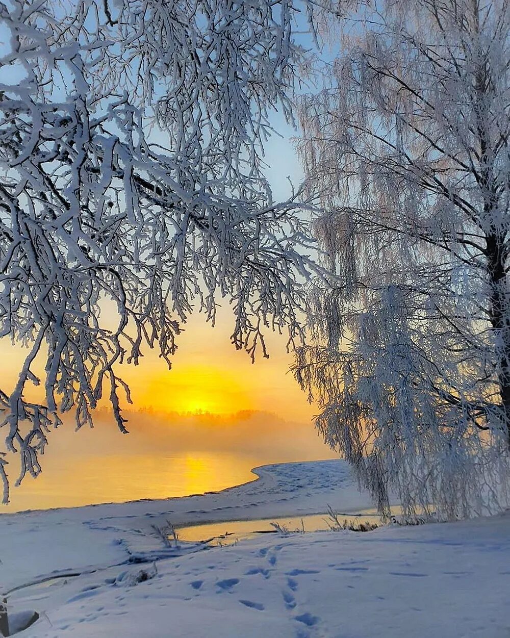 Утро уходящего февраля. Зимний рассвет. Красивый зимний рассвет. Зимнее утро. Утро рассвет зима.