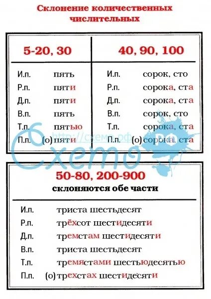 Миллионы лет назад падеж числительного