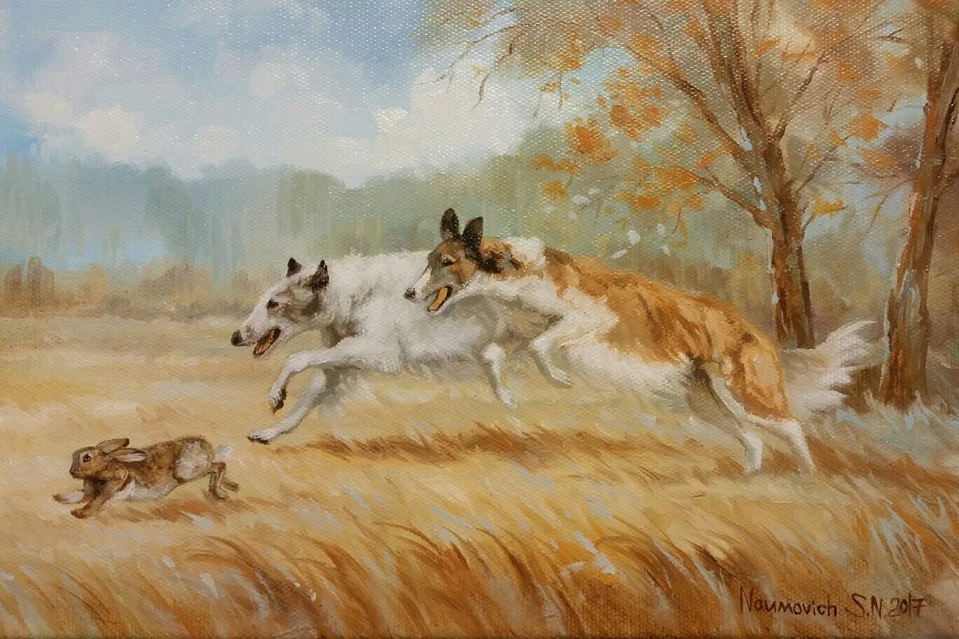 русская псовая борзая псовая охота. русская псовая борзая белая. русская псовая борзая на царской охоте. охотничья собака русская псовая борзая. псовая охота на зайца.
