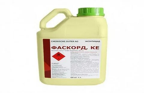 Кинфос инструкция