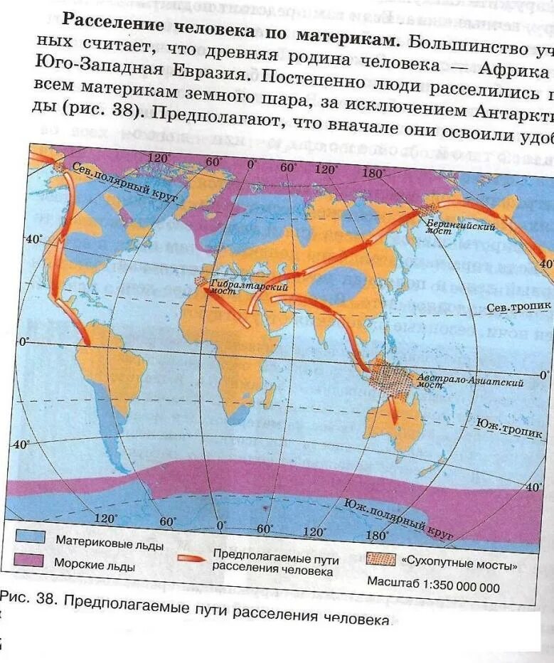 Стадии расселения. Карта расселения людей. Пути расселения человека по материкам. Пути расселения человека. Расселение людей по земному шару.