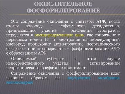 В окислительном фосфорилировании участвуют