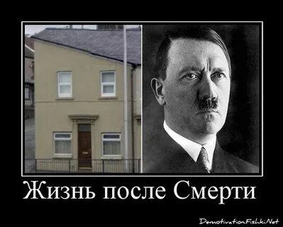 Домой похож