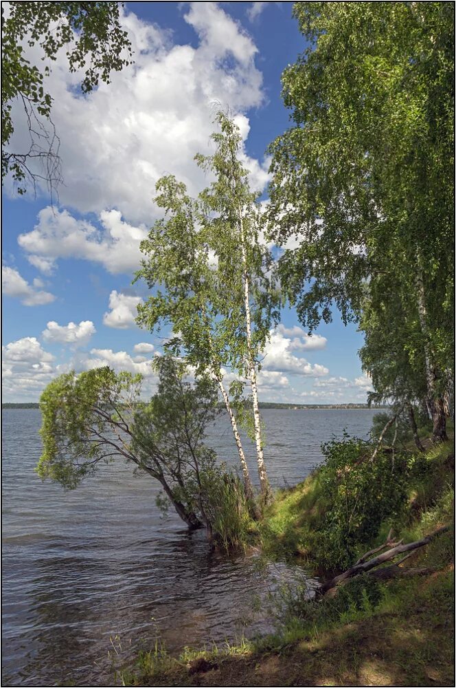 Озеро Сенеж (102 фото)