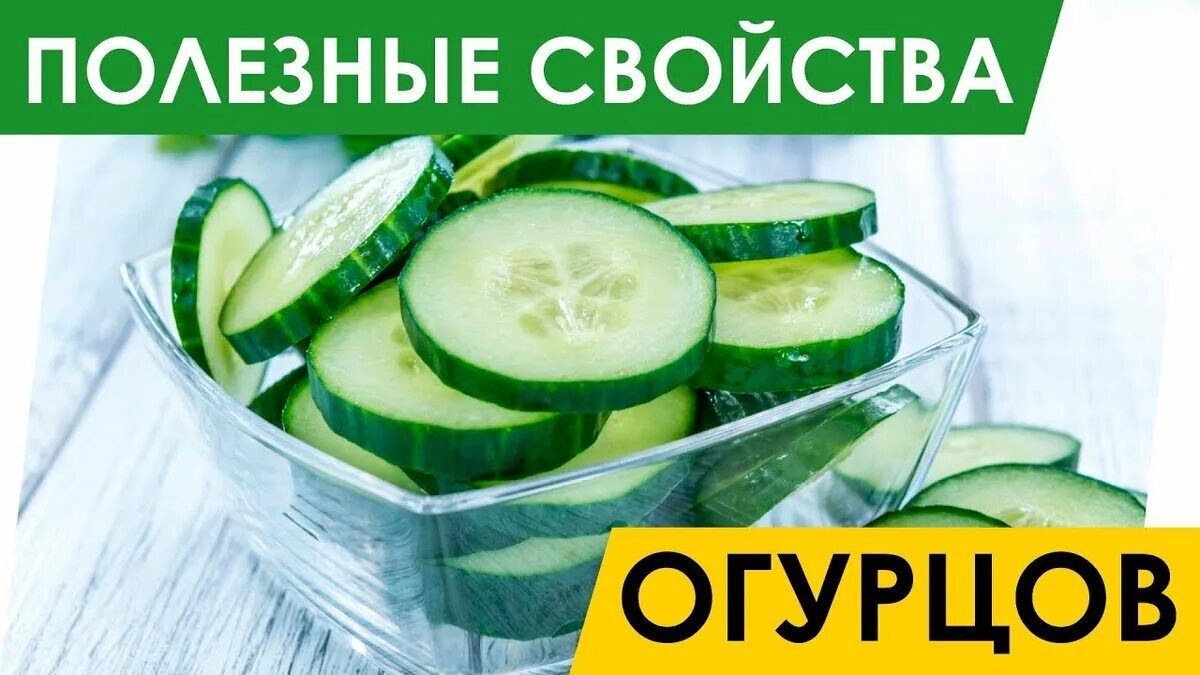 Полезно есть огурцы. Полезные качества огурца. полезные свойства огурца. что полезного в огурцах. чем полезен огурец для организма.