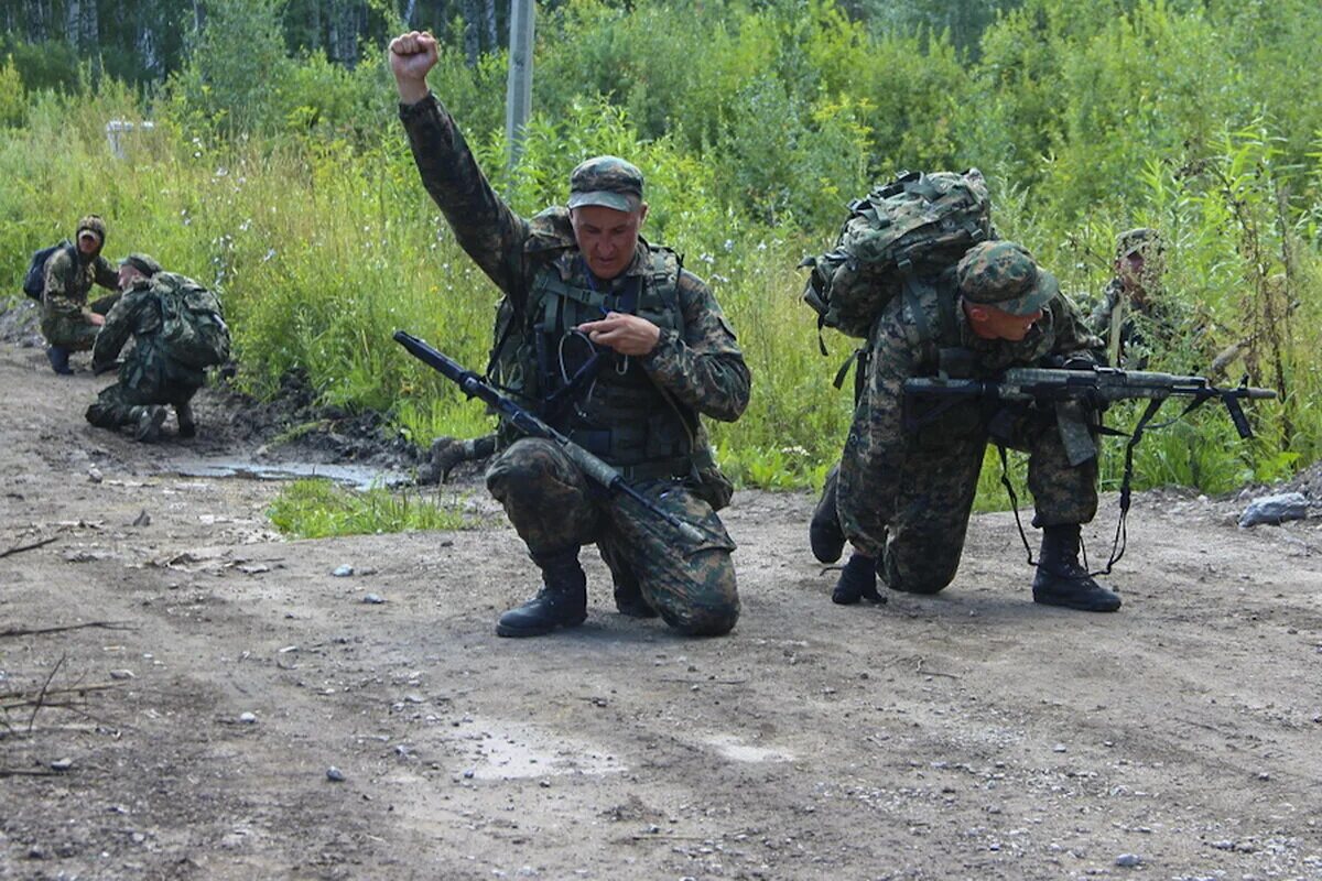 Боевой дозор