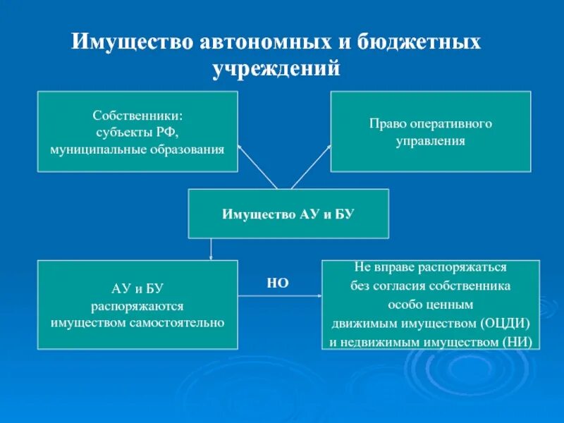 Собственник имущества бюджетного учреждения