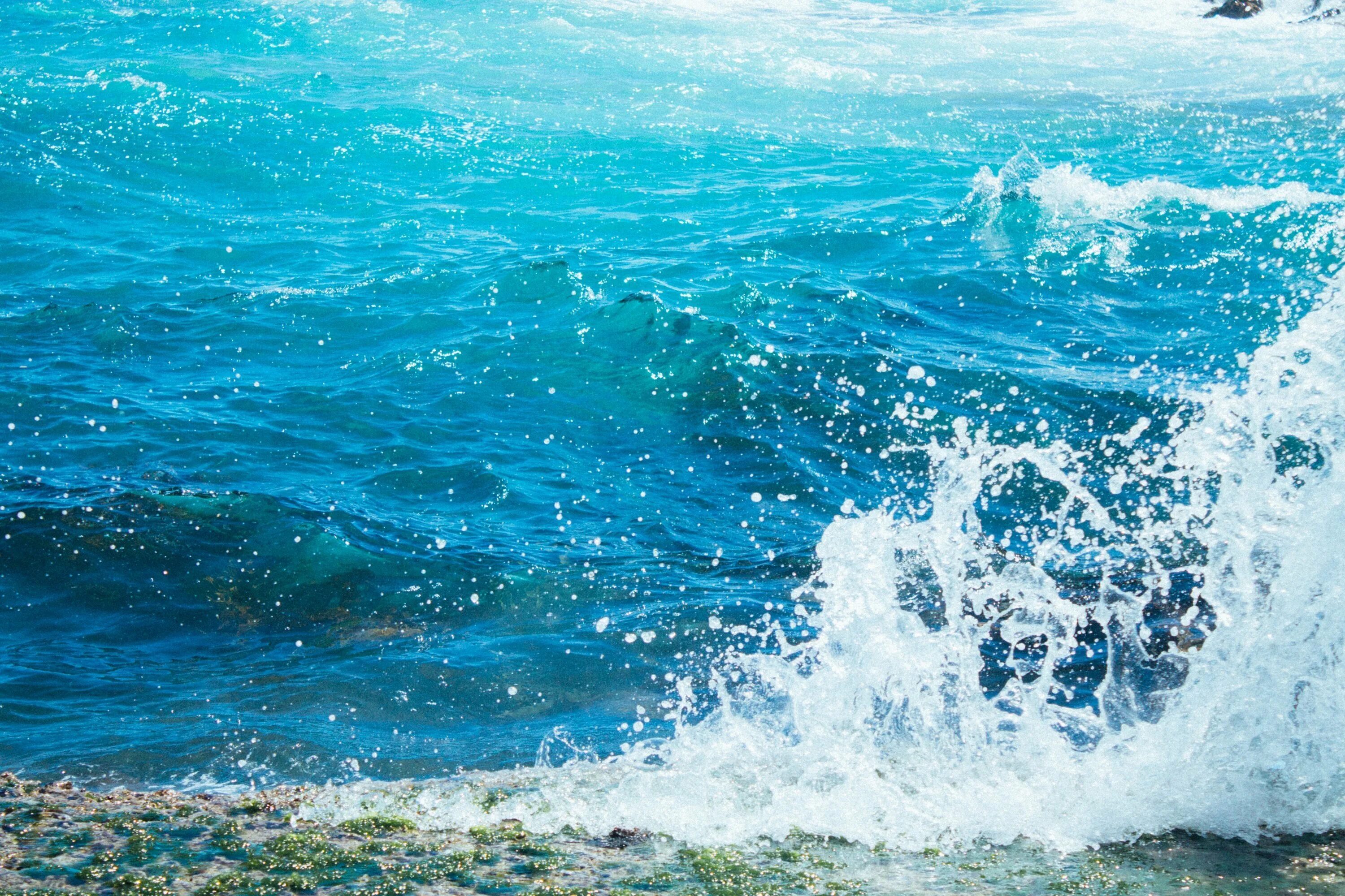 Морская вода запах. Море, волны. Прозрачная волна. Морская вода. Море вода.