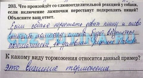 Биология 8 рабочая тетрадь сонин