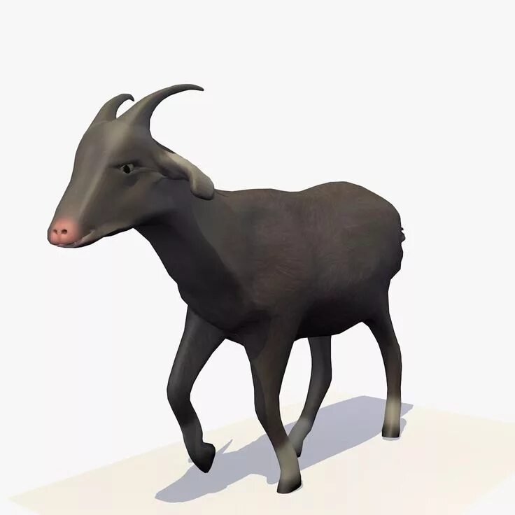 Animated realistic