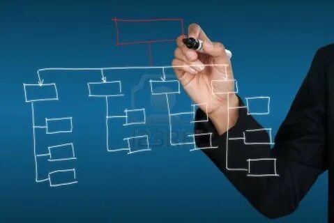 Organization
