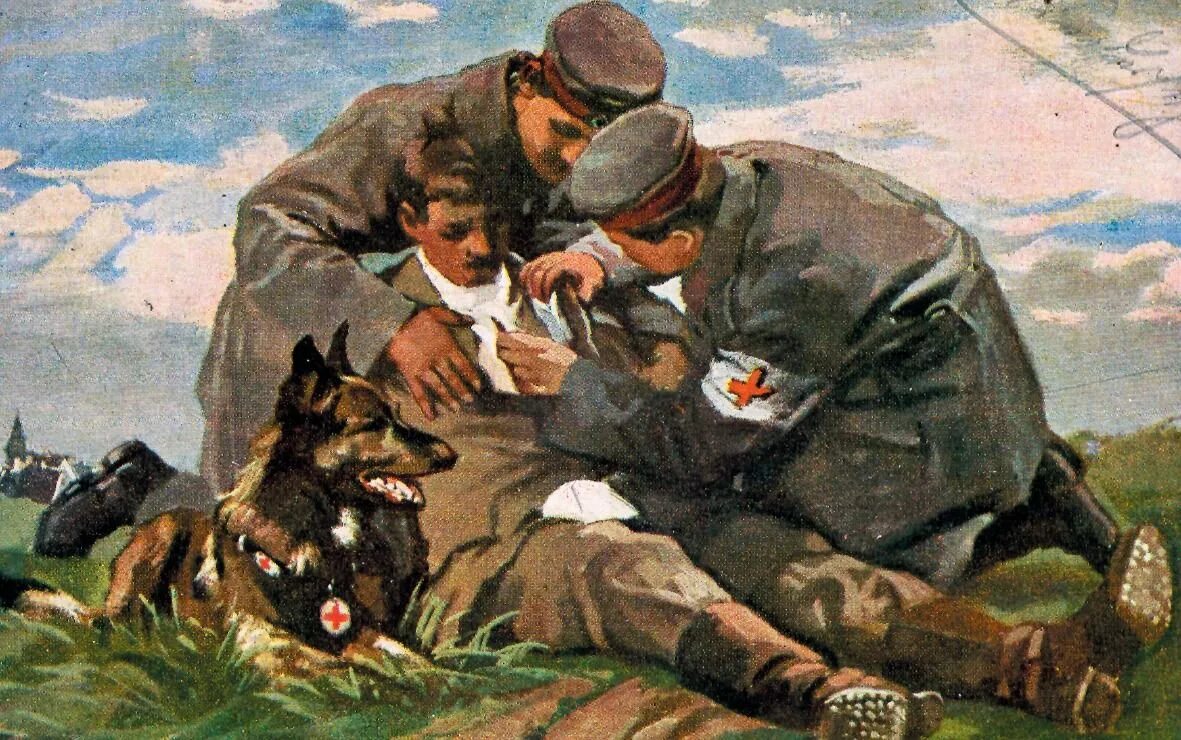 Доставить раненых