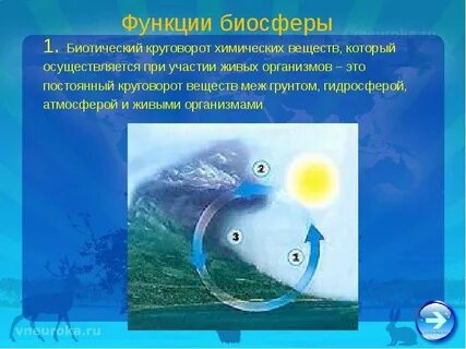 Роль живых организмов в гидросфере