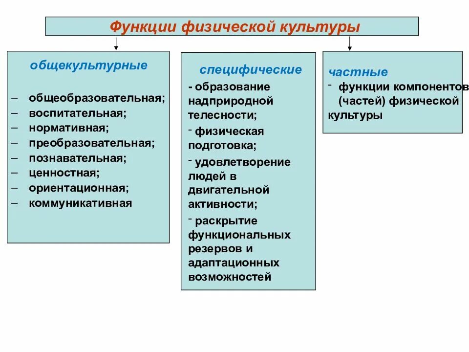 Одной из специфических функций физической культуры является. Функции физической культуры. перечислить функции физической культуры. функции физического воспитания.
