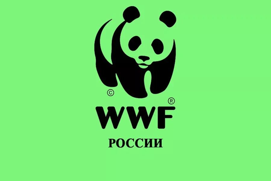 The world wildlife fund is an organization. Всемирный фонд дикой природы WWF России. Эмблема Всемирного фонда охраны дикой природы. ВВФ фонд дикой природы. Панда символ Всемирного фонда дикой природы.