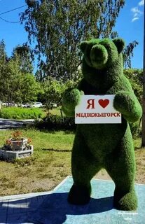 Медвежьегорск день города 2024