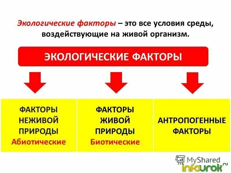 Факторы живой природы 5 класс