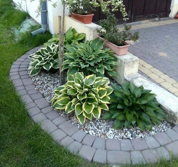 front walk garden Diy garden fountains, Front yard plants, Garden yard ideas