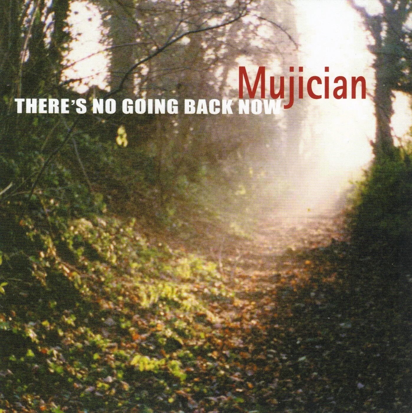 No going back. There's no going back. Mujician Spacetime. Mujician - Colours fulfilled. Going back песня