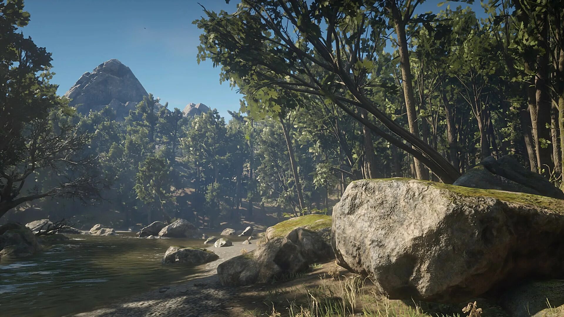 Red dead redemption 2 природа. Rdr2 nature. Пейзажи РДР 2 горы. Rdr2 view of nature.
