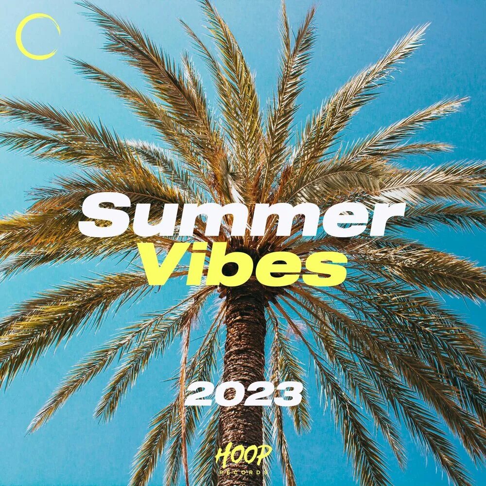 Vibe 2023