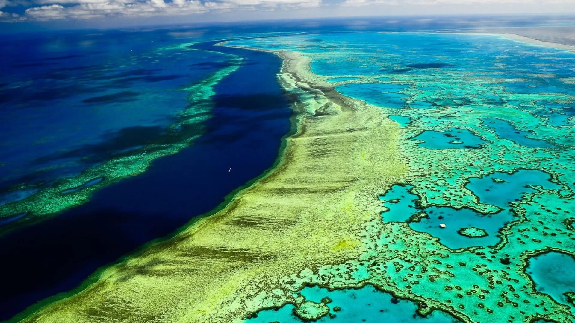 Great coral reef. Большой коралловый риф в Австралии. Великий Барьерный риф Австралия. Большой Барьерный риф Квинсленд. Большой Барьерный риф (ББР), Австралия.