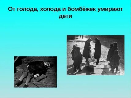 Голод и холод автор