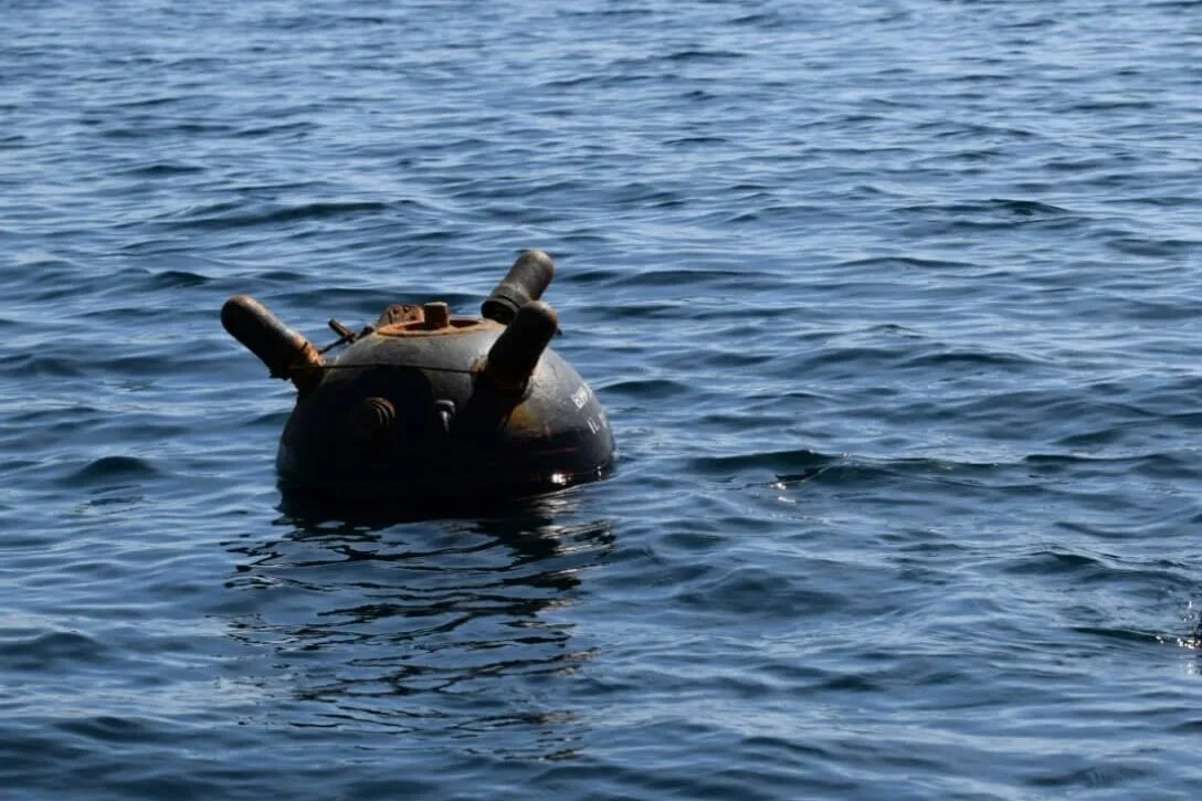 Свободно дрейфуют в воде