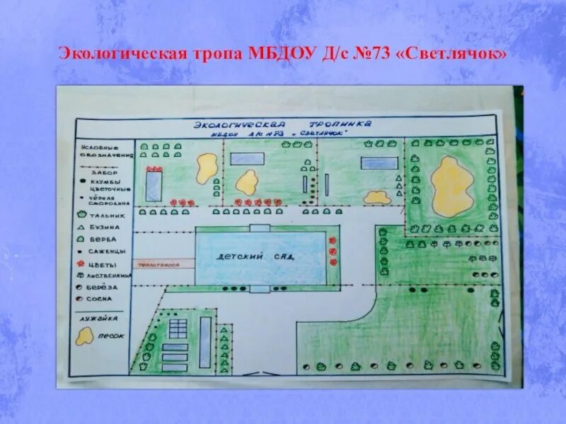 План схема экологической тропы в ДОУ. План участка детского сада. План схема участка детского сада. Планировка участка детского сада. Карта дошкольных учреждений