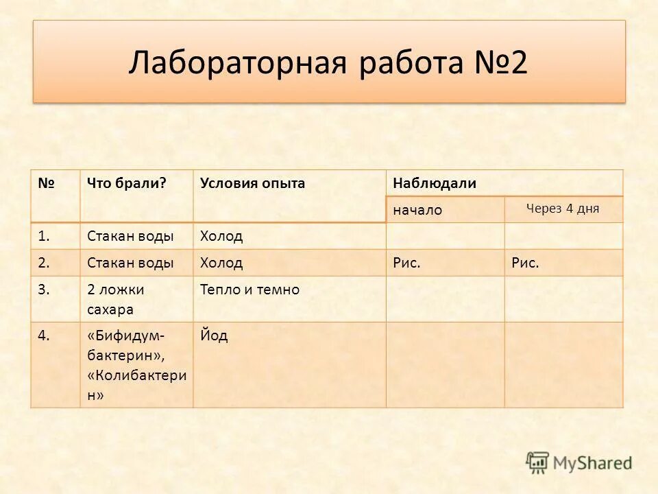 объявление требуется маркетолог. работник офиса. беру условия работы. почему молодых не берут на работу. беру условия работы.
