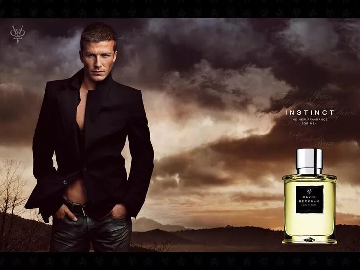 Духи которые сводят женщин с ума. Hugo boss the scent реклама. Одеколон акцент. Духи которые сводят женщин с ума. Женские духи которые сводят мужчин с ума.