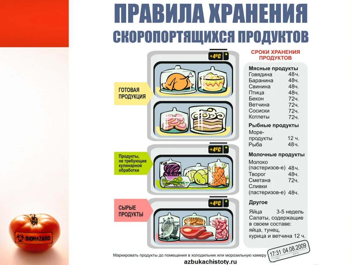 Хранение продуктов в холодильнике. Схема расположения продуктов в холодильнике. Хранение продуктов в холодильнике по полкам. Товарное соседство продуктов по полкам в холодильнике. Товарное соседство в холодильнике