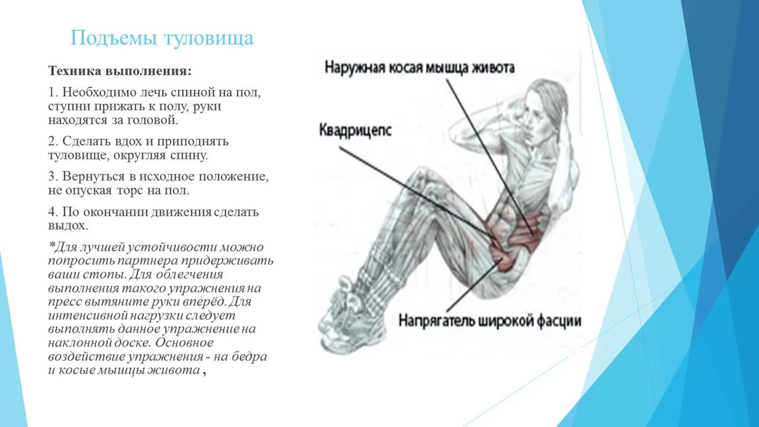 Поднимание туловища из положения лежа на спине. Техника выполнения подъема туловища. Подъем туловища на полу. Пресс подъем туловища. Упражнение поднимание туловища из положения лежа на спине.