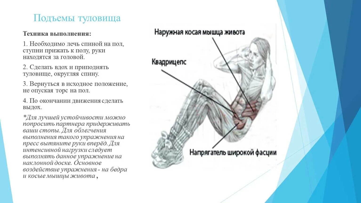 Почему подъем. Техника выполнения подъема туловища. Подъем туловища на полу. Пресс подъем туловища. Упражнение поднимание туловища из положения лежа на спине.