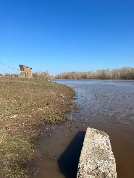 Уровень воды в реке самара. Река Самара. Река Бузулук. Река Самарка Тоцкое. Бузулук речка.