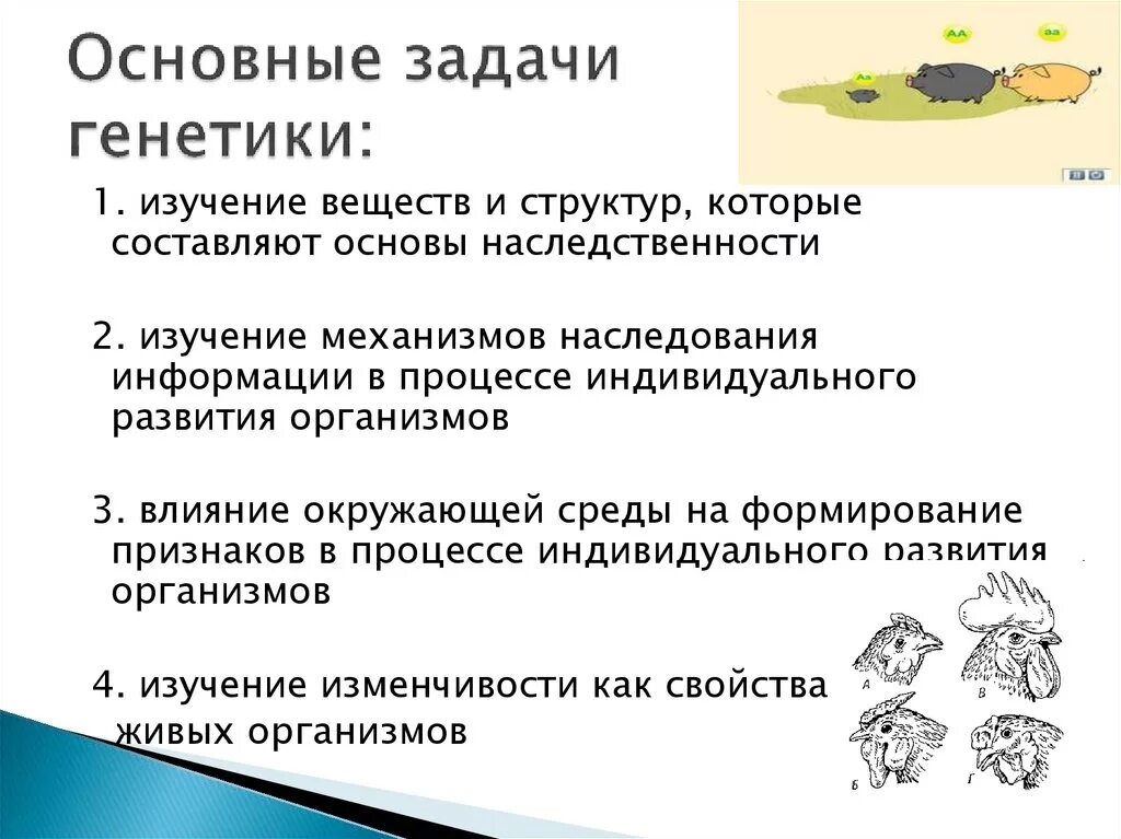 Задачи на генетик. Основные задачи генетики. Генетика основные задачи. Цели и задачи генетики. Перечислите задачи генетики.