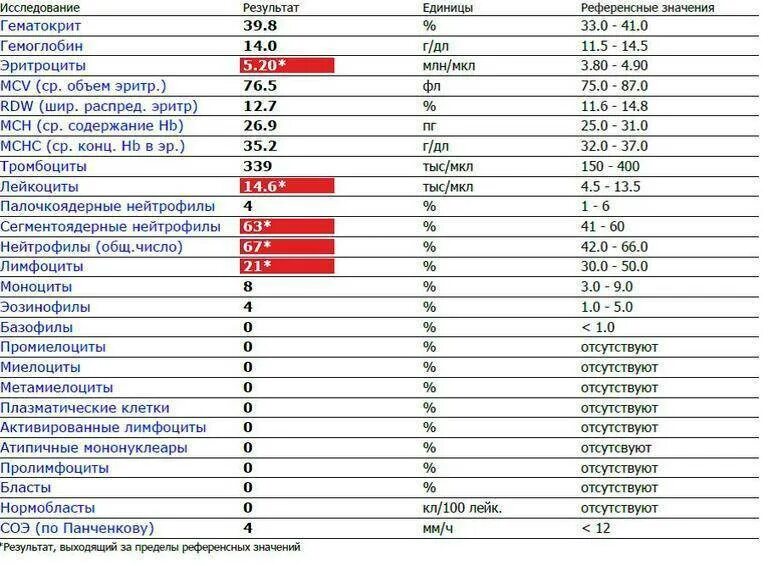 Норма лимфоцитов в крови. Причины пониженных лимфоцитов в крови. Низкие лимфоциты в крови. Снижение лимфоцитов в крови причины. Эритроциты повышены лимфоциты понижены
