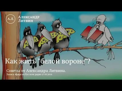 Куда уезжает белая ворона