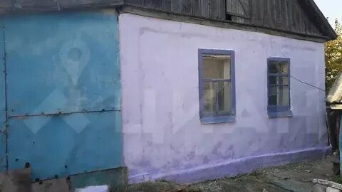 Прилепы пристенского