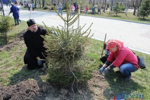 Пересадка хабаровске