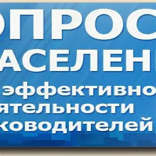 Сферы деятельности руководителей